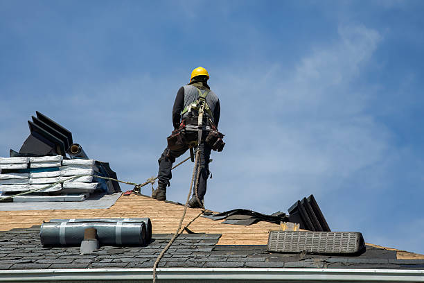 Professional Gutter Installation technician working in Carriere, MS
